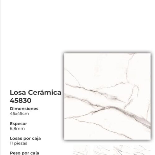 LOSA CERAMICA 45X45 45830