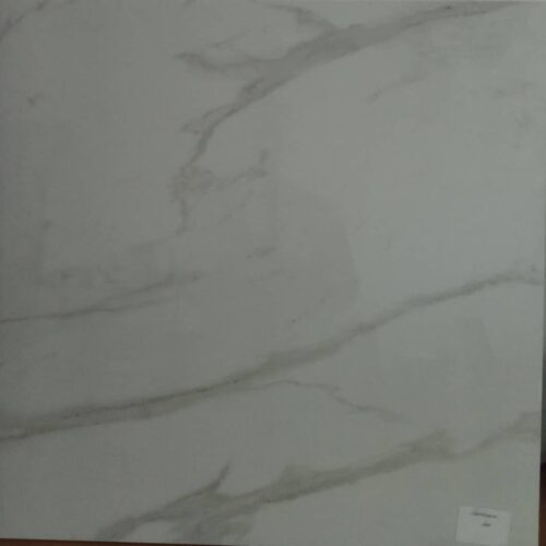 PORCELANATO 60x60 STATUARIO LEO